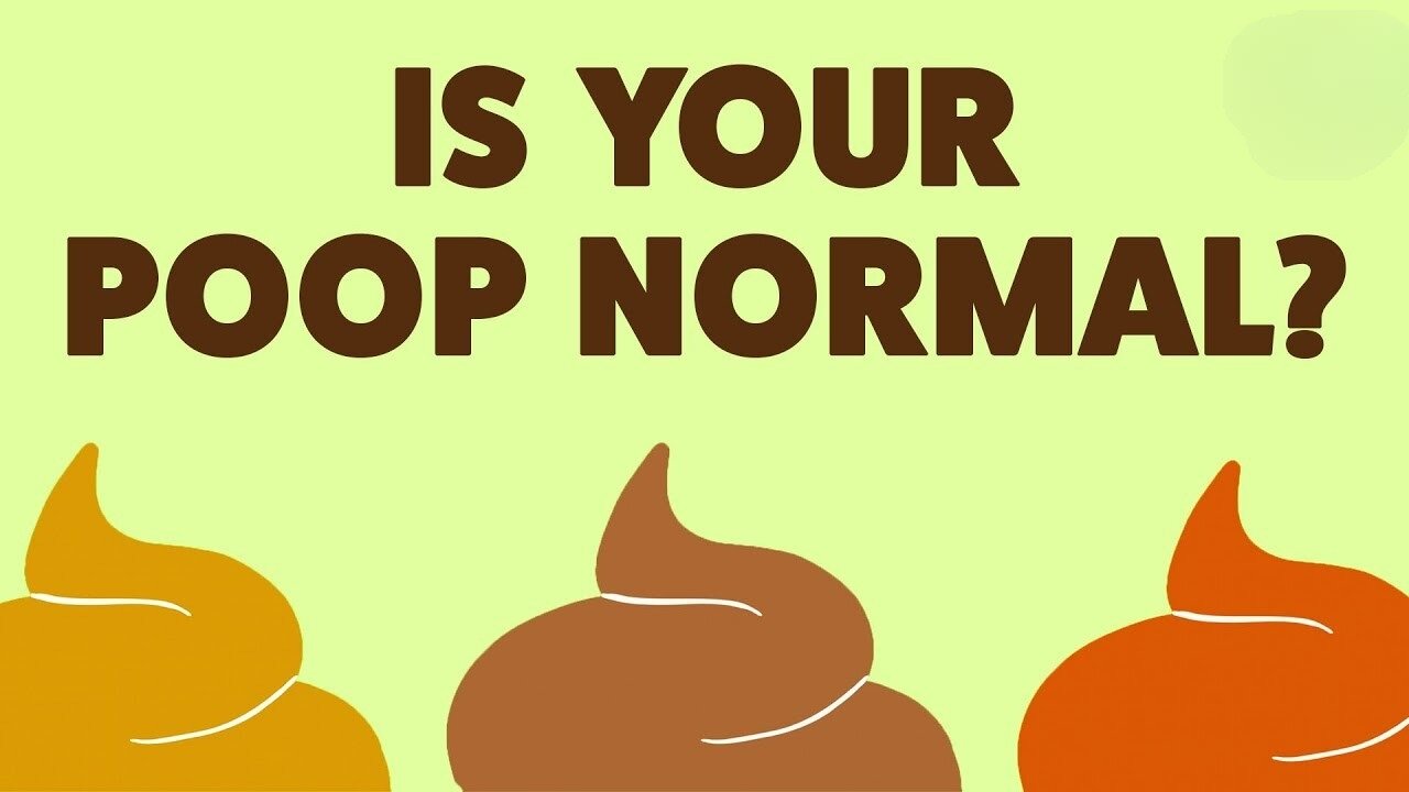 What your poop can tell you about your health - Hannibal Person