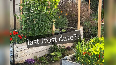 🌸spring is right around the corner! check ur last frost date⬇️