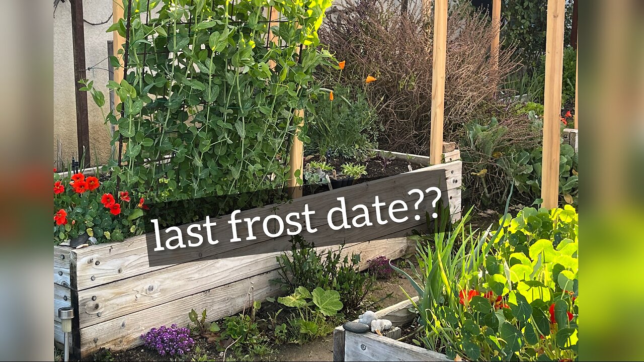 🌸spring is right around the corner! check ur last frost date⬇️