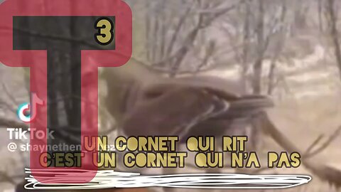 Chaque fois qu’un « Globies »..