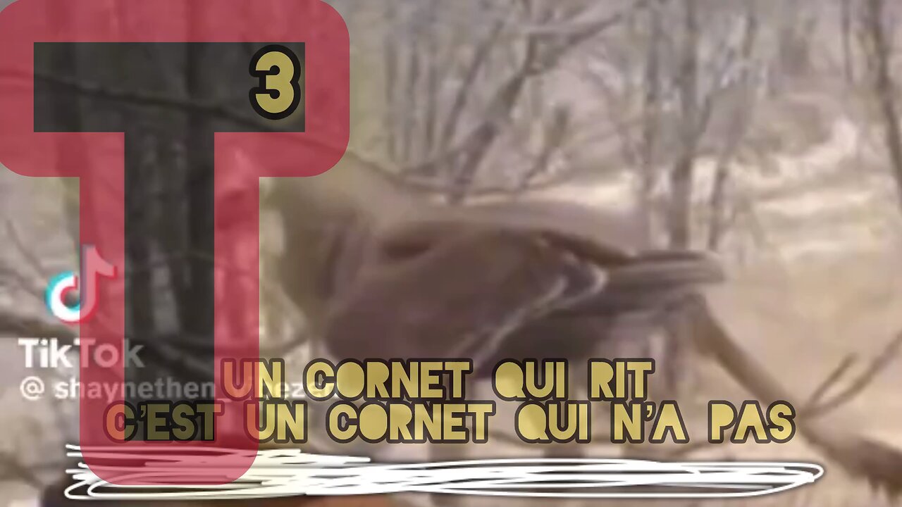 Chaque fois qu’un « Globies »..