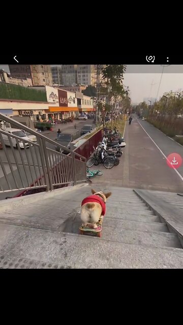 @Dogman. happy. money. withdrawal