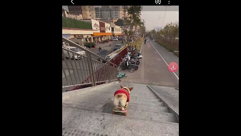 @Dogman. happy. money. withdrawal