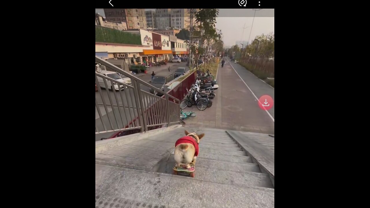 @Dogman. happy. money. withdrawal
