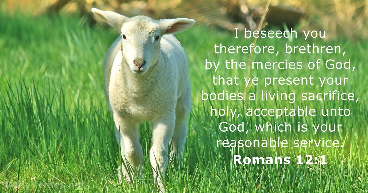 Verse Of The Day : Romans 12:1 NLT Let Them Be A Living And Holy Sacrifice