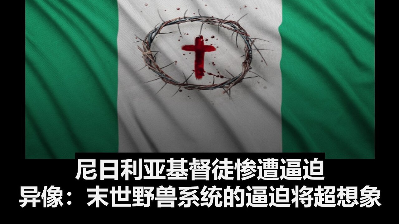 尼日利亚基督徒惨遭逼迫。异象：末世野兽系统的逼迫将超想象