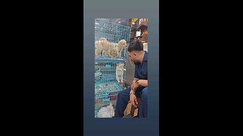 कितना कयुट है पप्पी