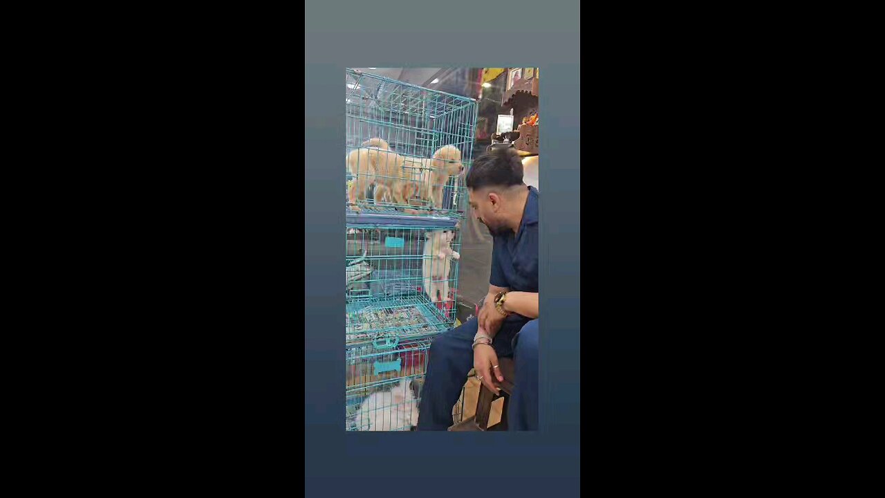 कितना कयुट है पप्पी