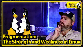 Fragmentation: The Strength and Weakness of Linux