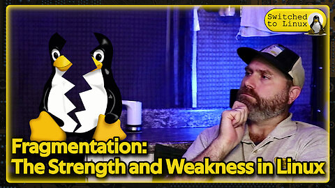 Fragmentation: The Strength and Weakness of Linux
