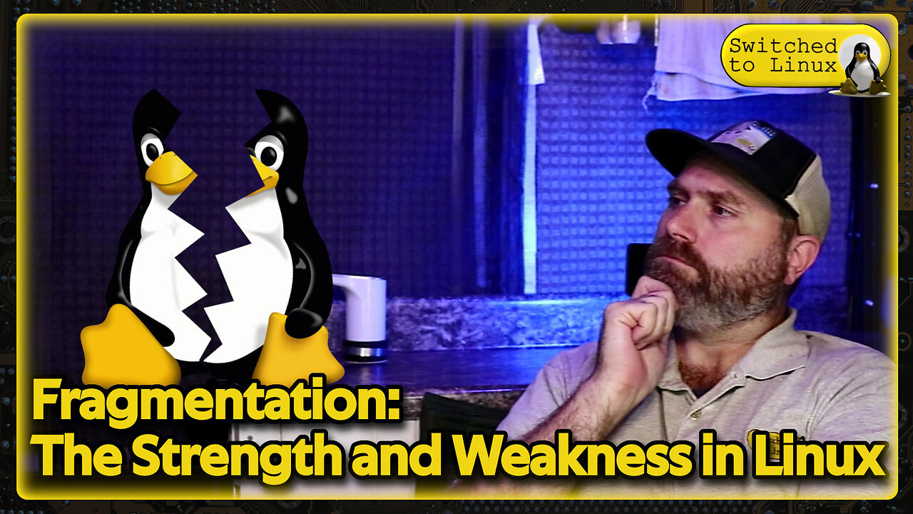 Fragmentation: The Strength and Weakness of Linux