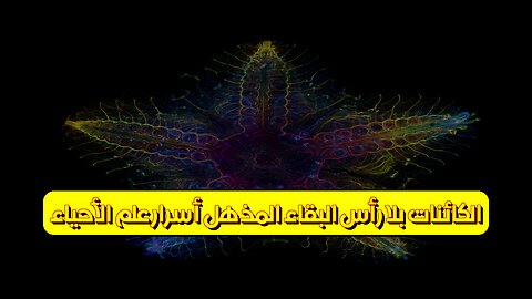 الكائنات بلا رأس: البقاء المذهل أسرار علم الأحياء! #حيوانات #بحر #عجائب