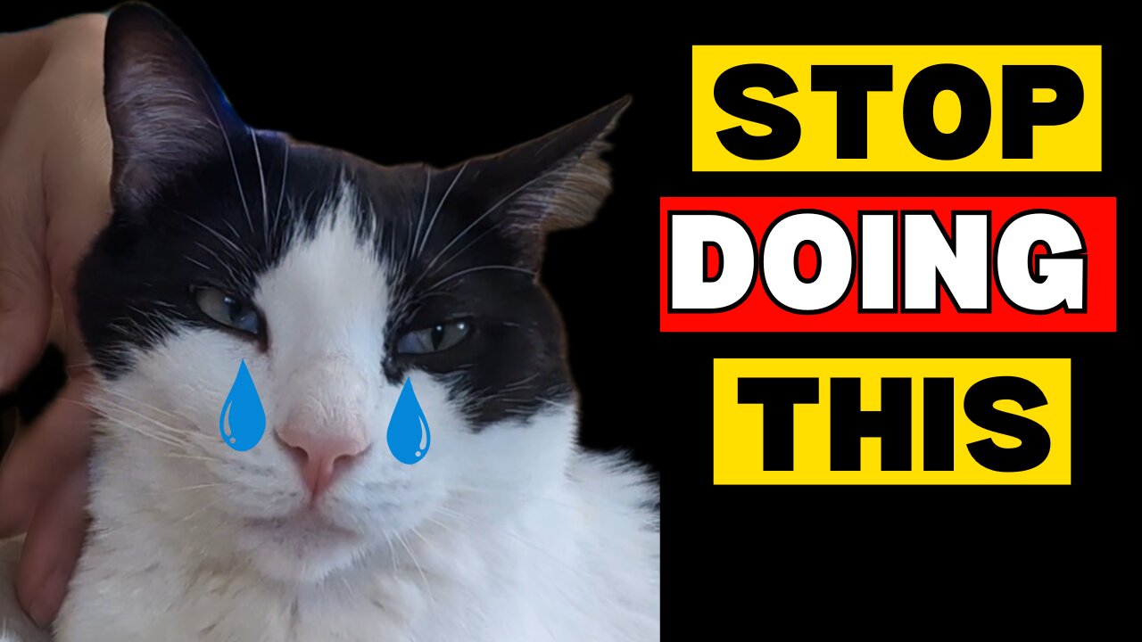 10 Things That Emotionally HURT Your Cats Feelings (Stop Doing These In Front Of Your Cat)