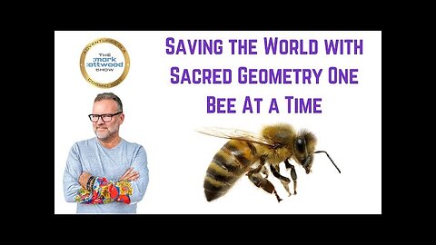 Saving the World with Sacred Geometry One Bee At a Time - 7th Aug 2025
