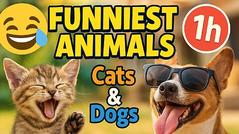 1 Hour Of Funniest Animals 😅 New Funny Cats and Dogs Videos