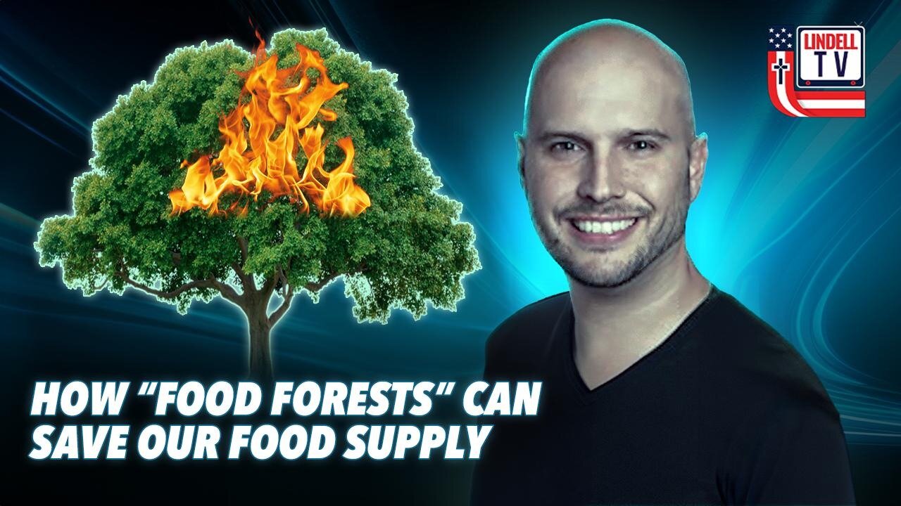 How “Food Forests” Can Save Our Food Supply | The Real Impacts of MAHA