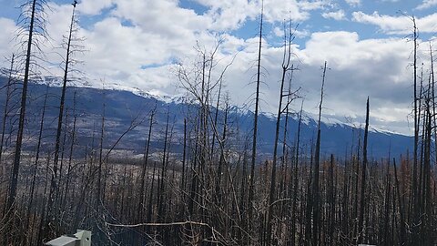 jasper after fires