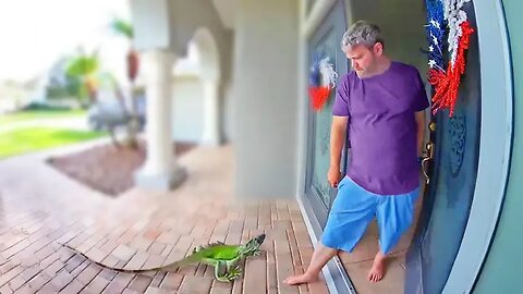 The Best Doorbell Videos Ever - Your Daily Dose Of Internet