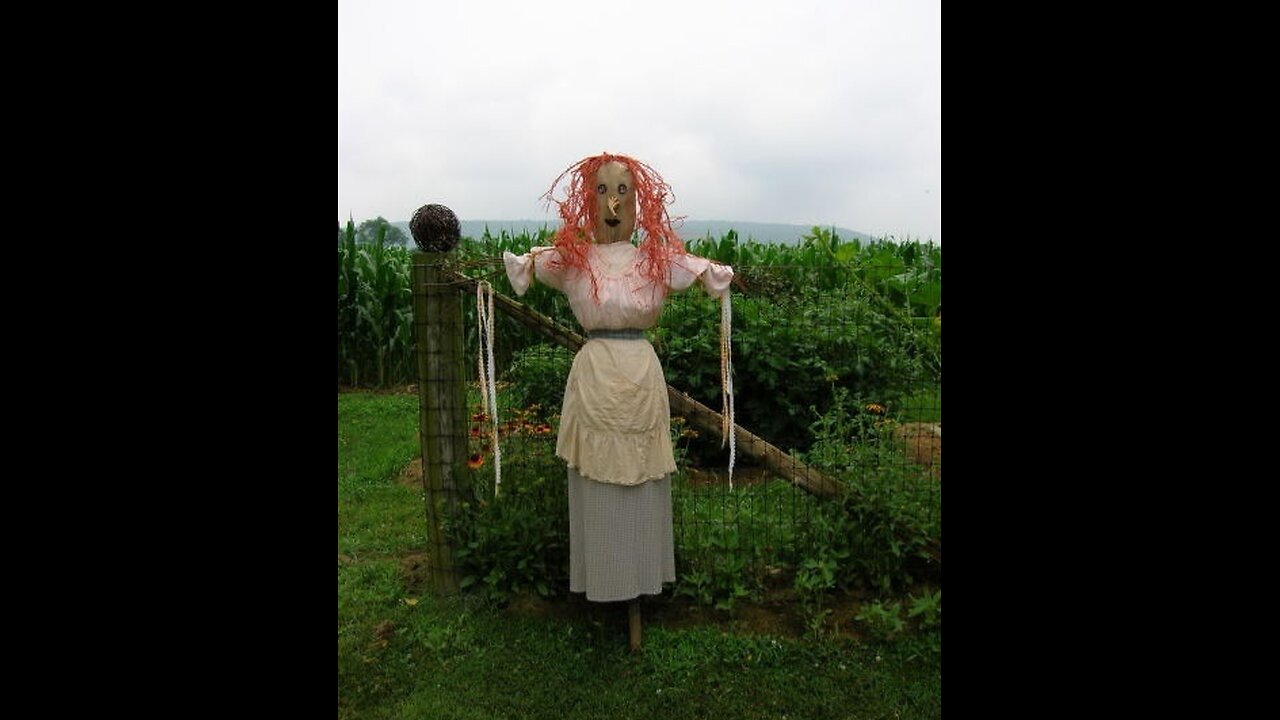 Let's Drag The Scarecrow & Her Frenz