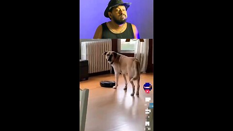 trynottolaugh competion