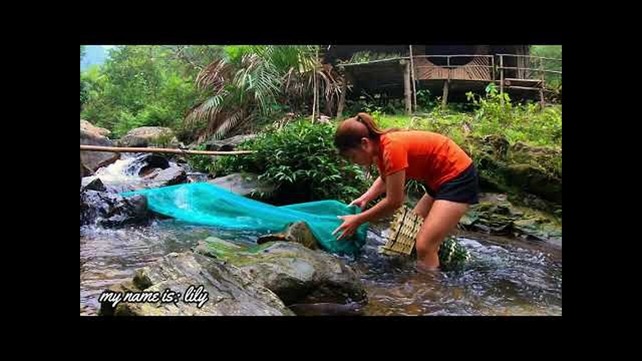 SOLO BUSHCRAFT- fish trap with do-it-yourself device - live wild