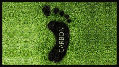 "Understanding Greg Reese's Perspective on Carbon Tax and the Digital ID Control Grid"