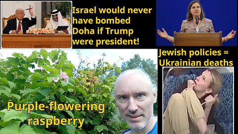 Poland droned. Vaccine damages, and their profits. Liar ad hominem. Jewish Black-hatred. 9/11 dance