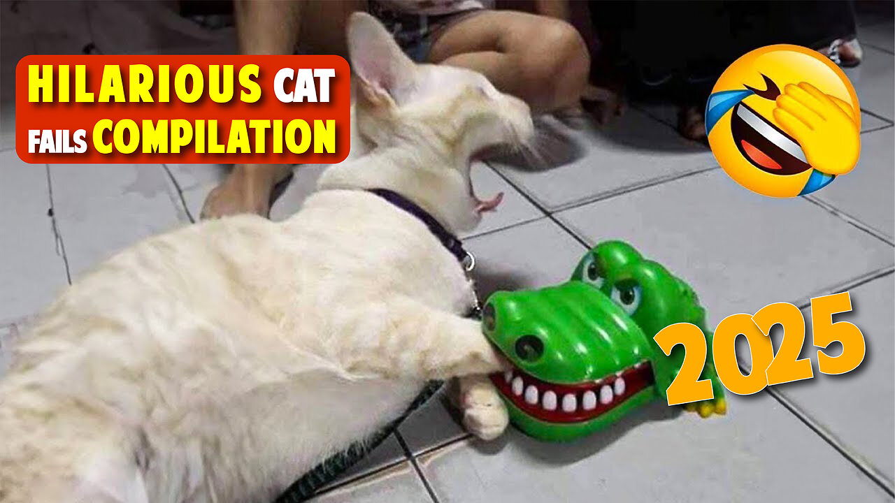 Hilarious Cat Fails Compilation | Funny Cat Moments 2025