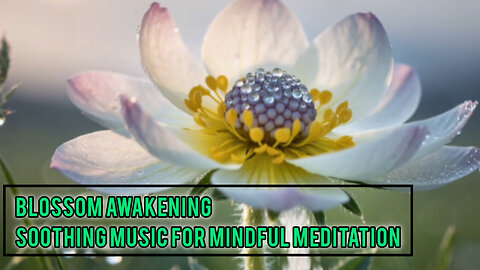 Blossom Awakening: Soothing Music for Mindful Meditation