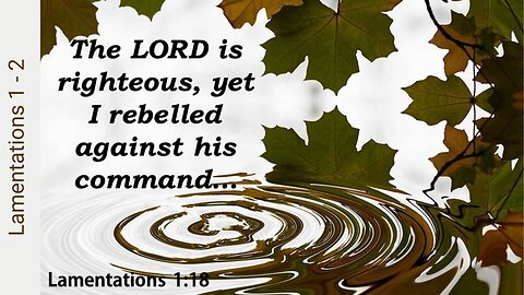 Lamentations 1 & 2 : Rebellion's Price Tag