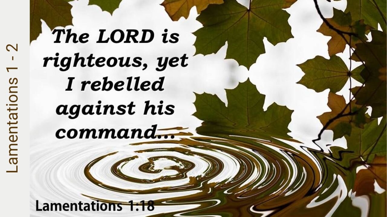 Lamentations 1 & 2 : Rebellion's Price Tag