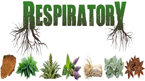 Respiratory Herbal Extract Review