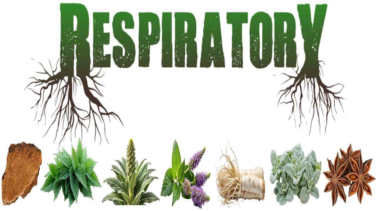 Respiratory Herbal Extract Review