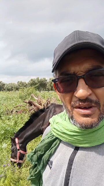 Free speech worldwide (part 2)