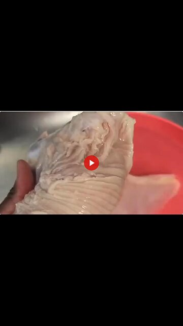 Lab grown chicken - This is what it looks like. It has been approved by the FDA for our poisoning