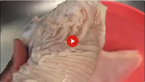 Lab grown chicken - This is what it looks like. It has been approved by the FDA for our poisoning