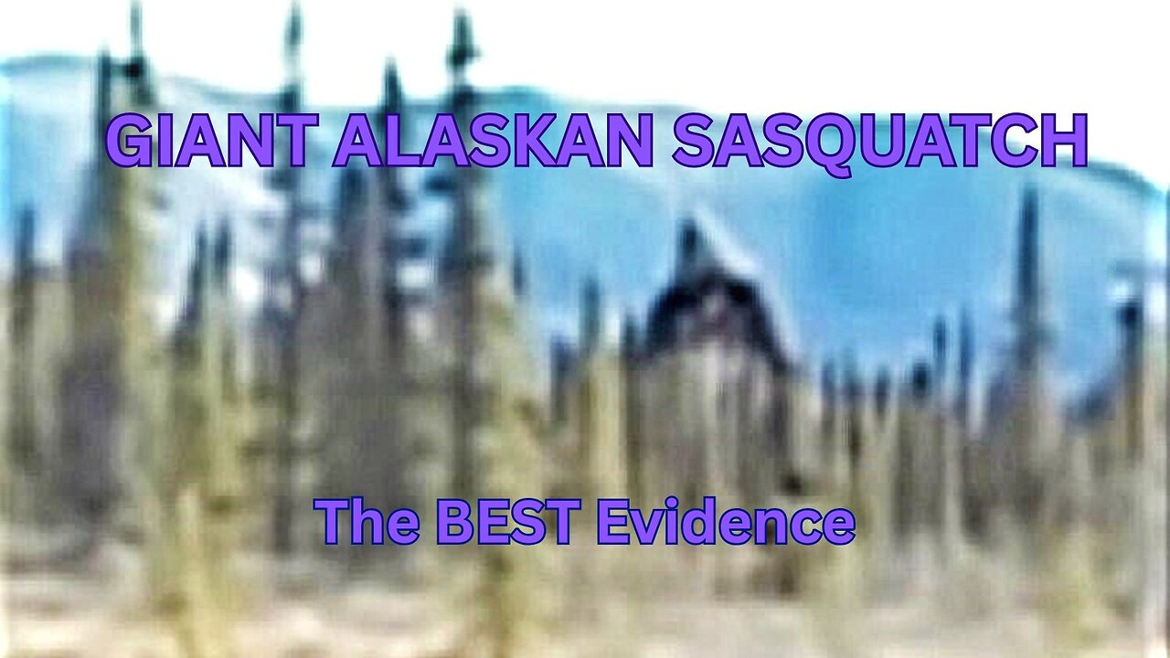 GIANT ALASKAN SASQUATCH ~ The BEST Evidence! / ScottHack, Daniel Becker, Matt Sleater, Chuke Johnson