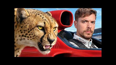 World's Fastest Car Vs Cheetah!