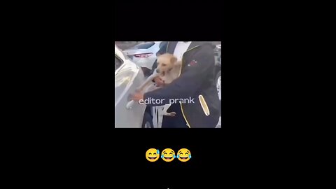 😹😹😹