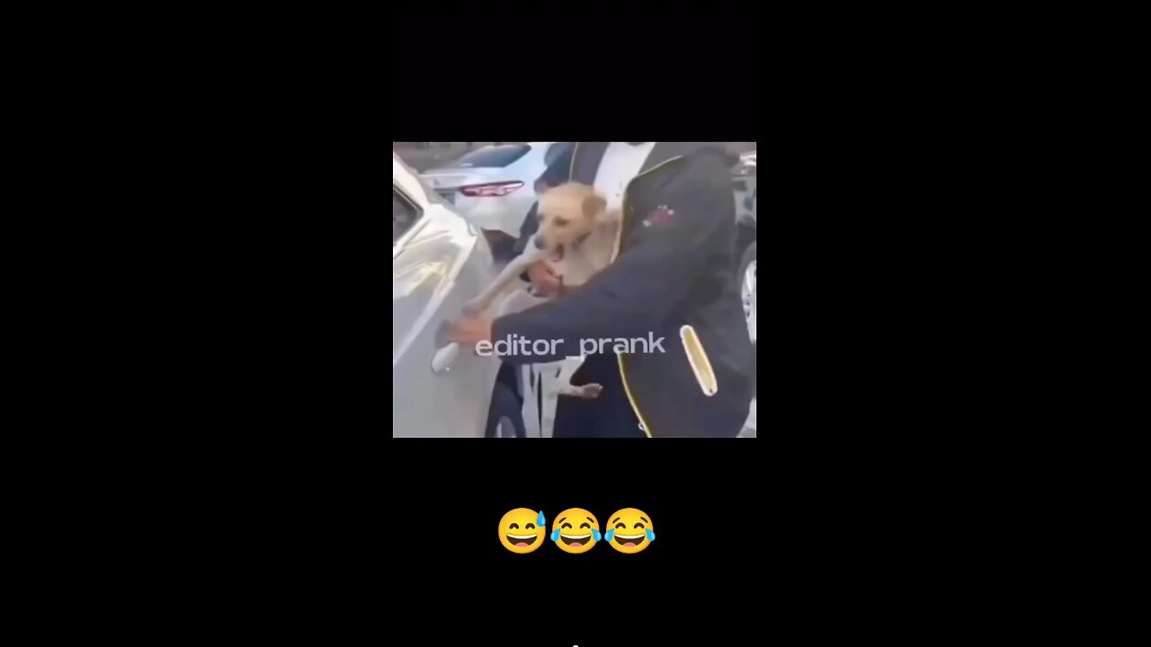 😹😹😹