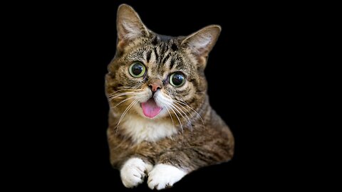 Have fun time2/6/2026