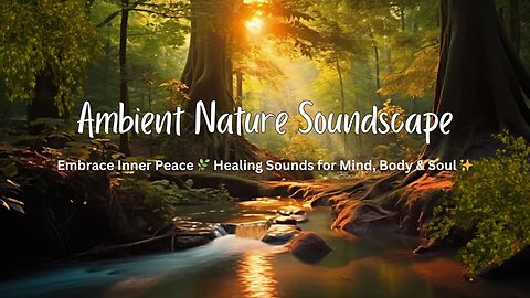 Instant Serenity: 1-Minute Ambient Nature Soundscape for Relaxation & Focus