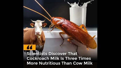 They want to feed you bugs: cockroach milk scam