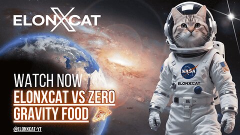 ElonXCat VS ZERO GRAVITY FOOD — Enter the Memeverse of Space Adventures