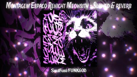MONTAGEM ESPAÇO RENICHT MEOWSITH - SLOWED & REVERB (SOULFUSI x FUNKGOD) ⚠️ #SpacePhonk