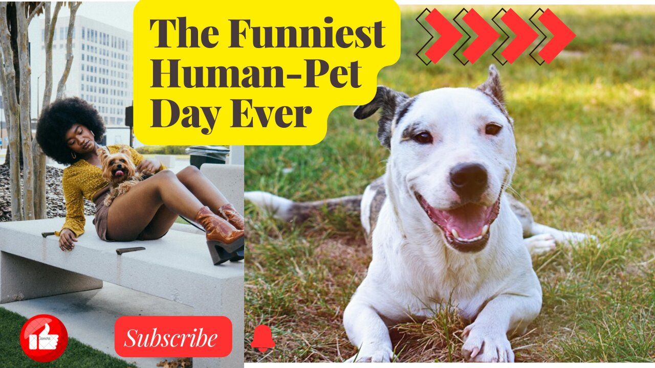 Funny Animals Showing Off Their Hidden Talents And Making Us LAUGH , Animal comedy