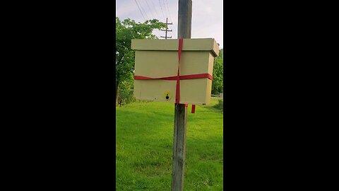 swarm trap2
