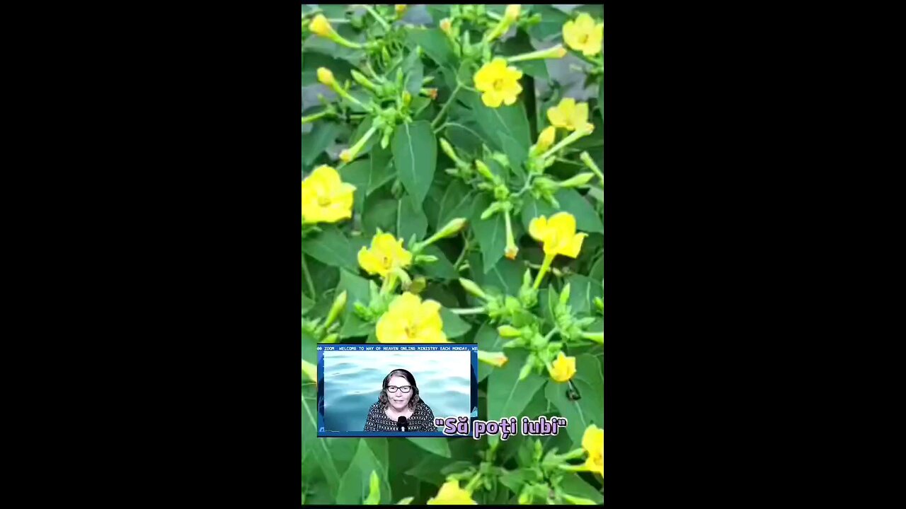 OLTEA HOZAN POEZIA -SĂ POȚI IUBIȚI- editată de Valentin Trif CALEA CĂTRE RAI #podcastclips #poezii