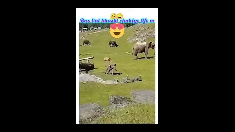 https://youtube.com/shorts/tUsDv03v3Ks?si=qcznzZ7SsclevbPl
