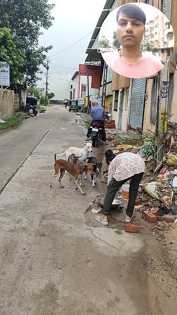 jivdaya mehsana suvichar jain stavan jain suvichar #music #song #live #devotional